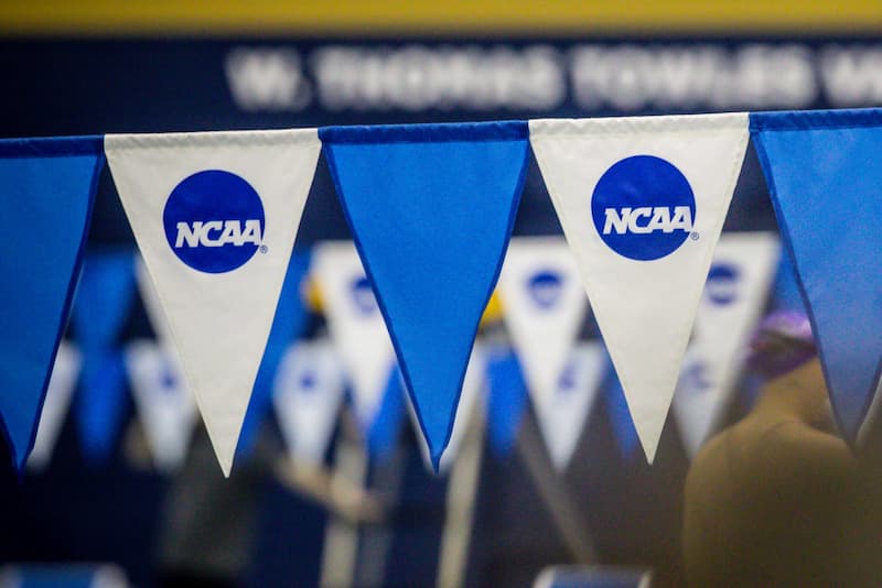 What is the NCAA All You Want to Know